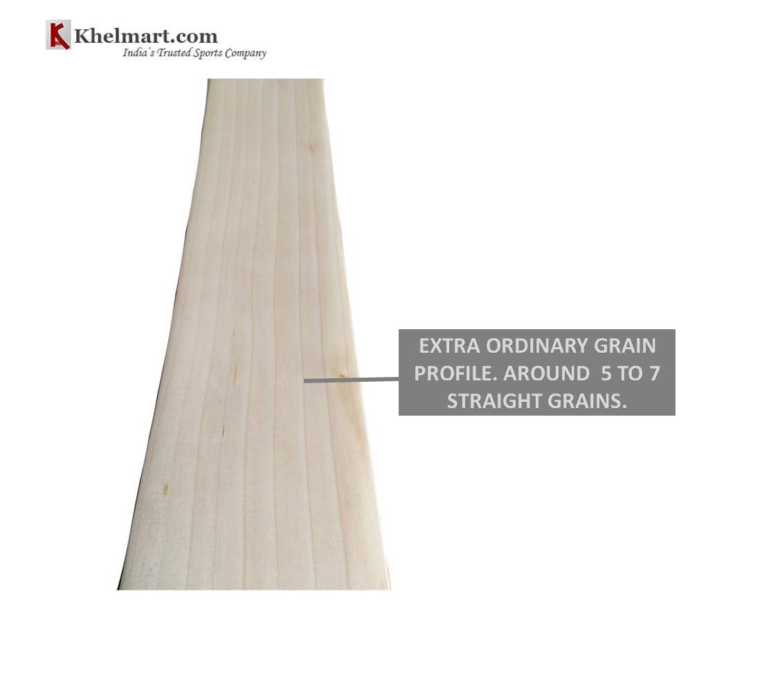 CUSTOM BAT GRAINS PROFILE_2.jpg